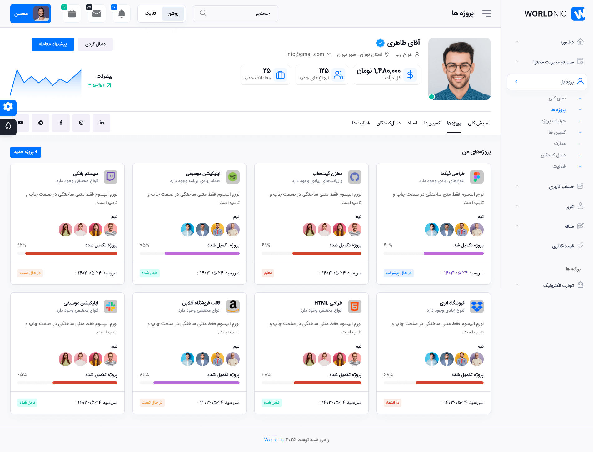 ویزگی ها و امکانات قالب وردنیک، WorldNIC